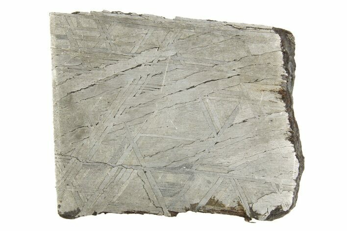 Etched Muonionalusta Meteorite Slice ( g) - Sweden #320304